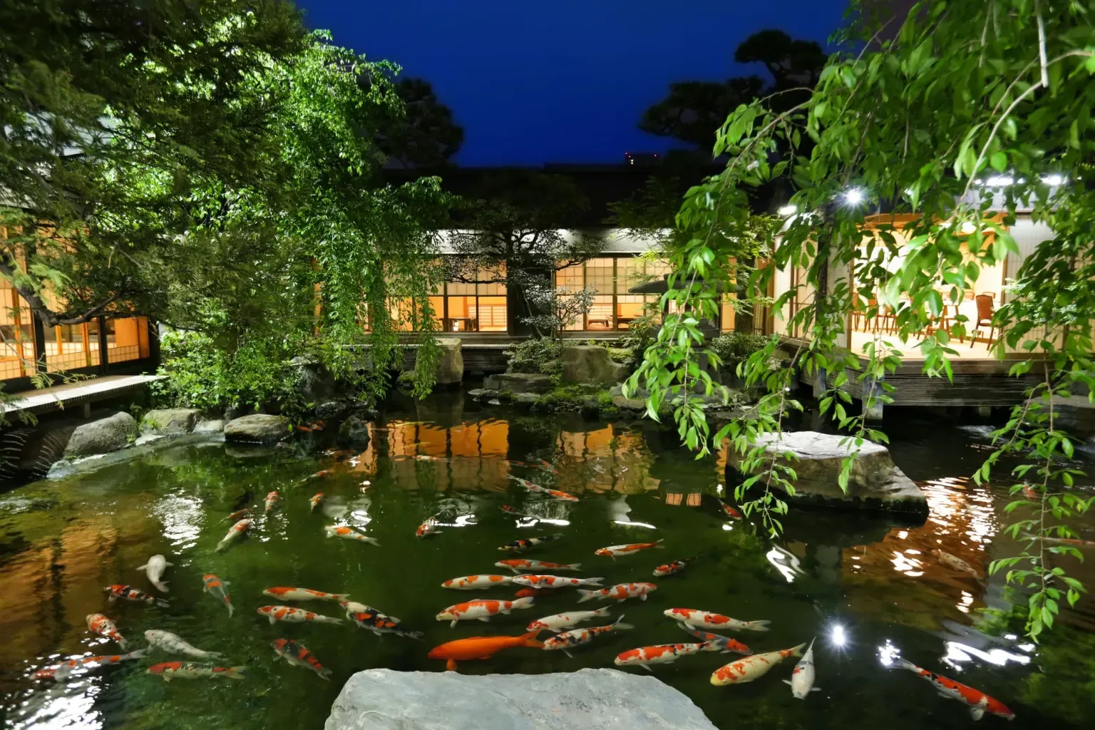 The koi pond at dusk, with the lit tatami rooms of Tsukiji Jisaku reflected in the water
