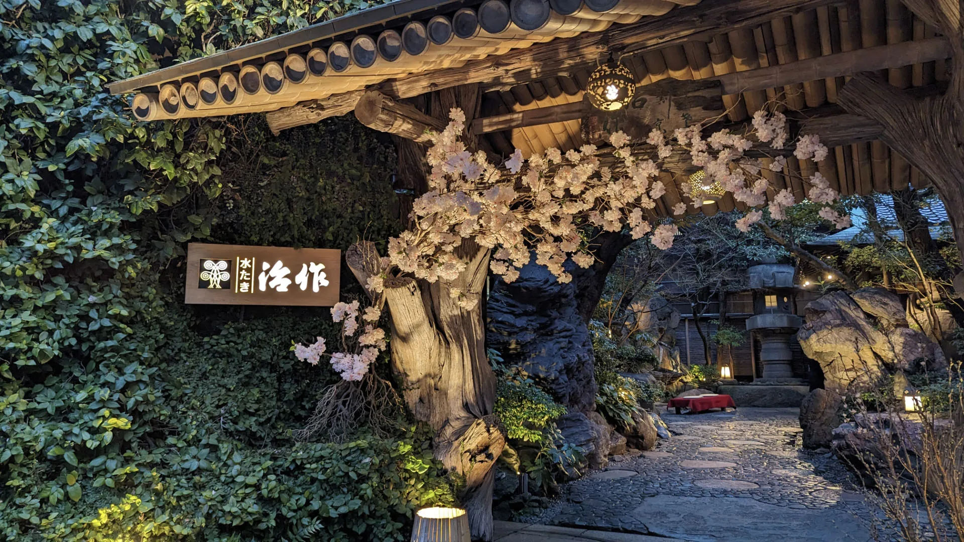 The ivy-covered entrance gate of Tsukiji Jisaku at dusk, with cherry blossom above the name board