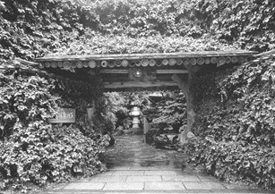 Archive photograph of the ivy-covered entrance gate of Tsukiji Jisaku, looking down the stone approach