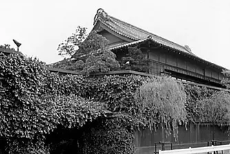 Archive photograph of the main house at Tsukiji Jisaku behind a weeping tree