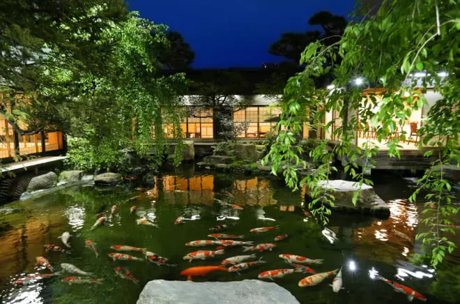 The koi pond at Tsukiji Jisaku at dusk, with the lit tatami rooms reflected on the water